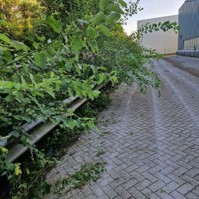 onkruidbestrijding voor 